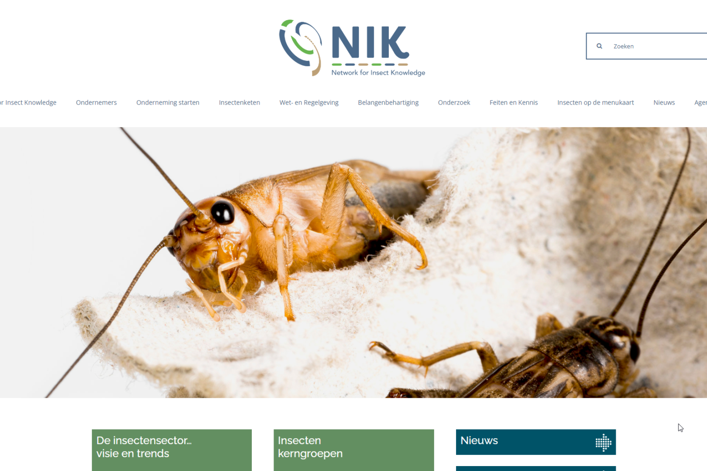 NIK - Network for Insect Knowledge
